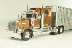 Western Star 4900 with semi-trailer 1990, brown/grey, American trucks, France №85, Altaya 1:43