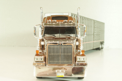 Western Star 4900 with semi-trailer 1990, brown/grey, American trucks, France №85, Altaya 1:43
