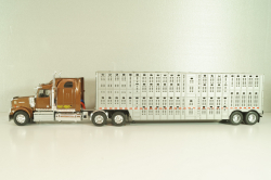 Western Star 4900 with semi-trailer 1990, brown/grey, American trucks, France №85, Altaya 1:43