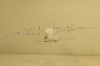 АН-12 Антонов Україна, Herpa 1:200